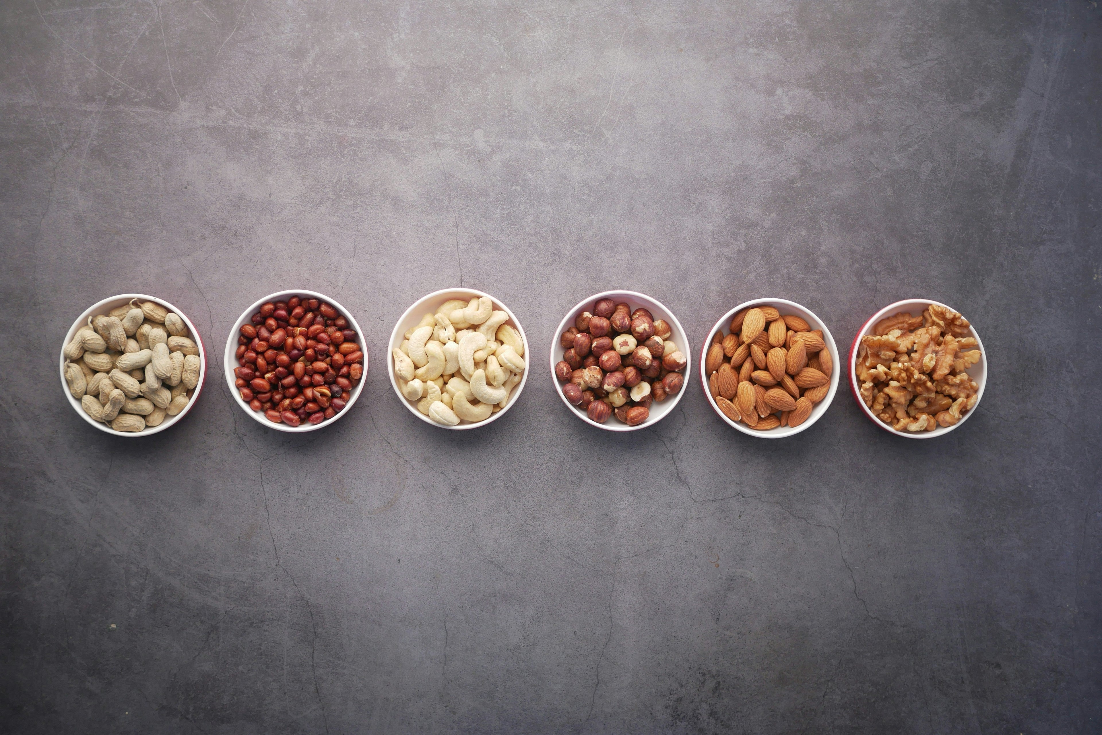 Animal Protein vs. Plant Protein - Which is Better for the Gut?